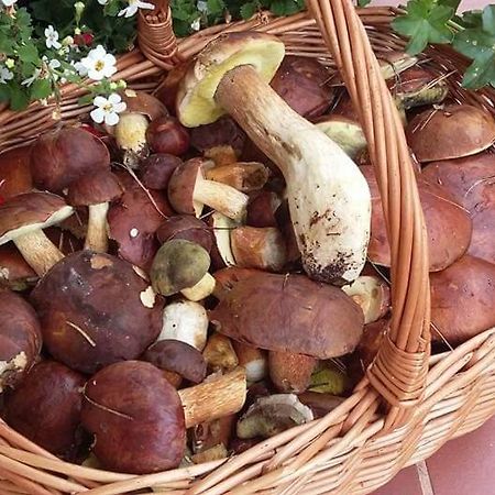 Agroturystyka Rebowo Klodawa  Kültér fotó