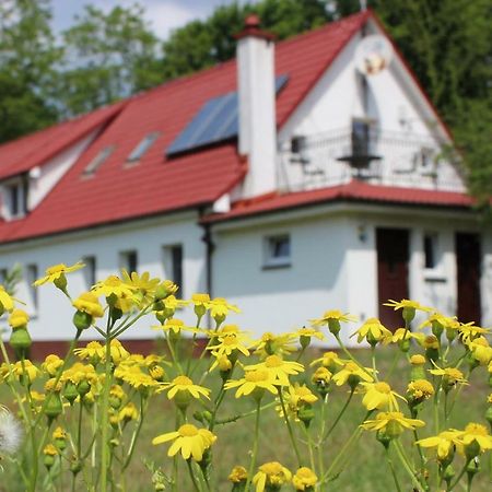 Agroturystyka Rebowo Klodawa  Kültér fotó