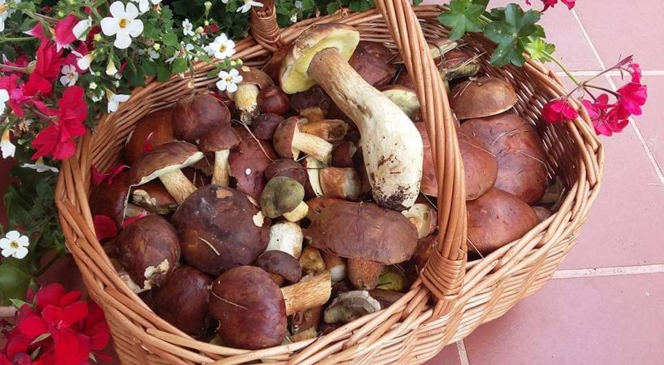 Agroturystyka Rebowo Klodawa  Kültér fotó